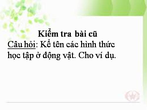 Bài 32. Tập tính của động vật (tiếp theo)