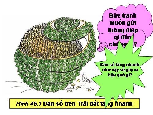 Bài 46. Cơ chế điều hòa sinh sản