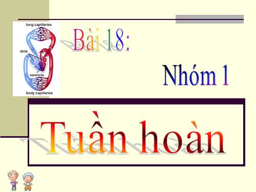 Bài 18. Tuần hoàn máu