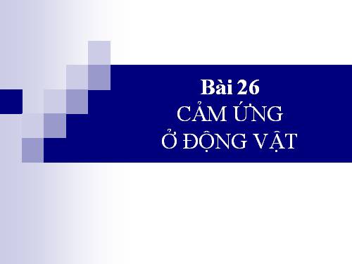 Bài 26. Cảm ứng ở động vật