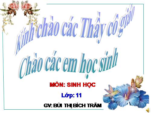 Bài 42. Sinh sản hữu tính ở thực vật