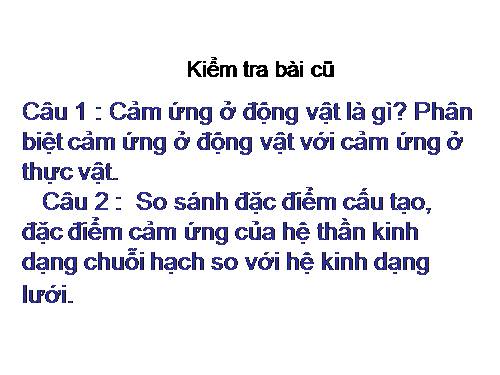 Bài 27. Cảm ứng ở động vật (tiếp theo)