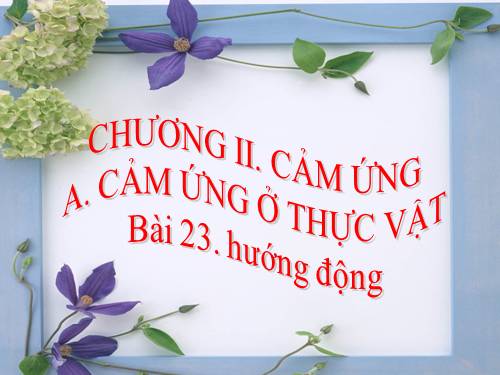 Bài 23. Hướng động