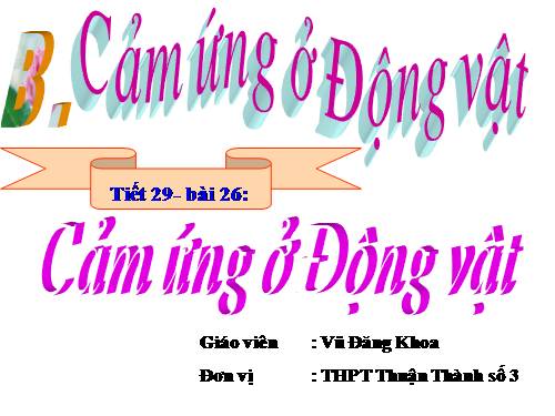 Bài 26. Cảm ứng ở động vật