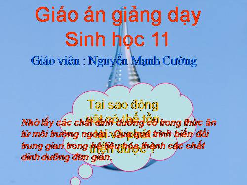 Bài 15. Tiêu hoá ở động vật