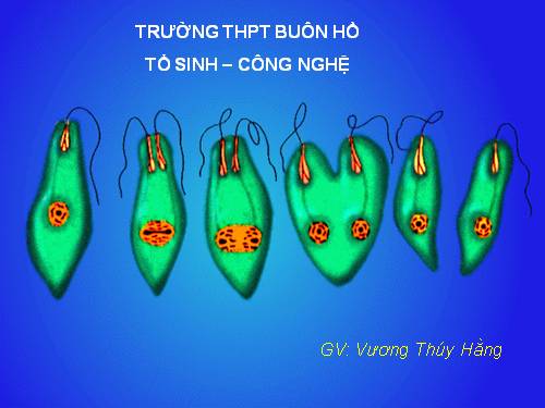 Bài 44. Sinh sản vô tính ở động vật