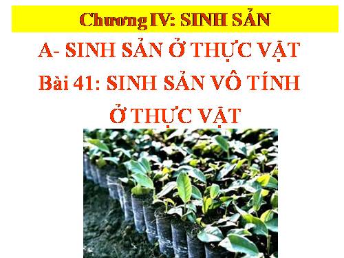 Bài 41. Sinh sản vô tính ở thực vật