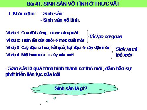 Bài 41. Sinh sản vô tính ở thực vật