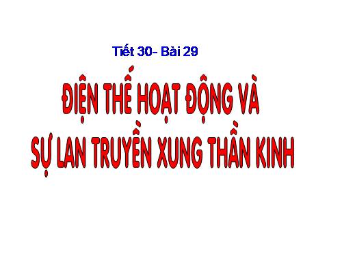 Bài 29. Điện thế hoạt động và sự lan truyền xung thần kinh