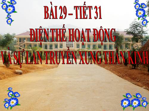 Bài 29. Điện thế hoạt động và sự lan truyền xung thần kinh