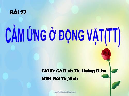 Bài 27. Cảm ứng ở động vật (tiếp theo)