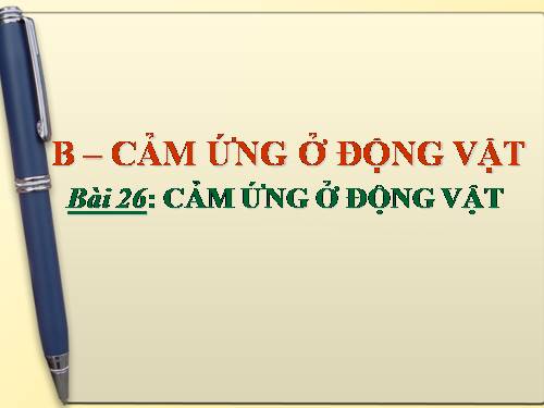 Bài 26. Cảm ứng ở động vật