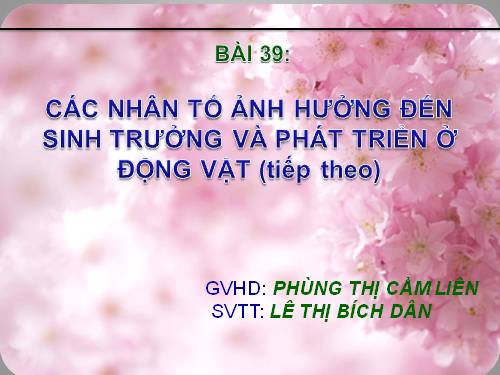 Bài 39. Các nhân tố ảnh hưởng đến sinh trưởng và phát triển ở động vật (tiếp theo)