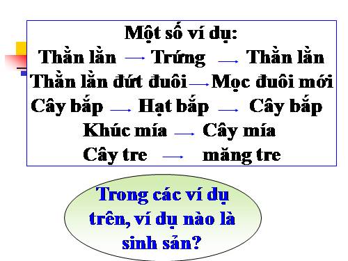 Bài 41. Sinh sản vô tính ở thực vật