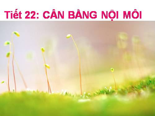 Bài 20. Cân bằng nội môi