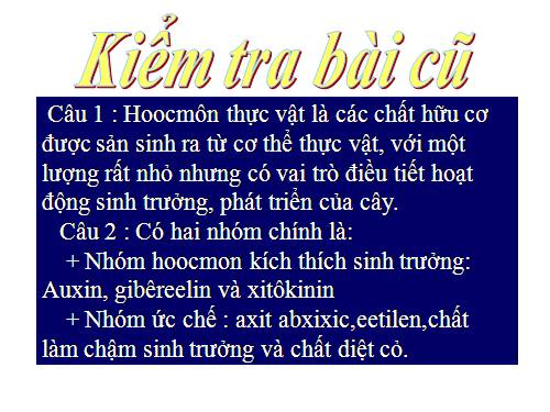 Bài 36. Phát triển ở thực vật có hoa