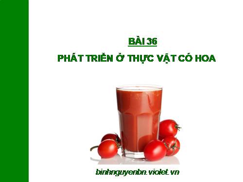 Bài 36. Phát triển ở thực vật có hoa