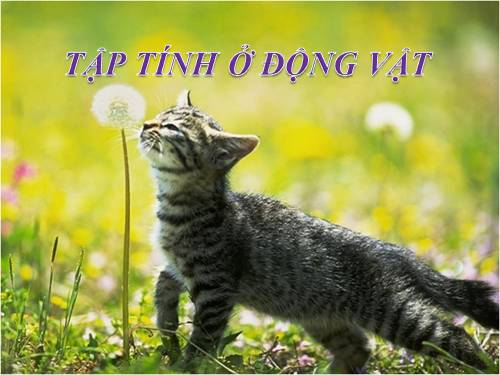 Bài 44. Sinh sản vô tính ở động vật