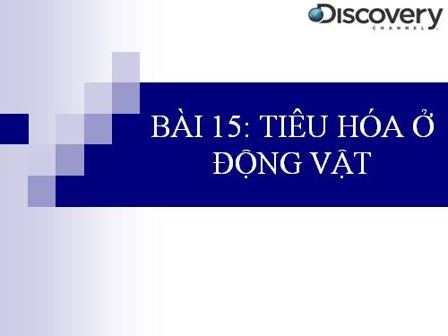 Bài 15. Tiêu hoá ở động vật