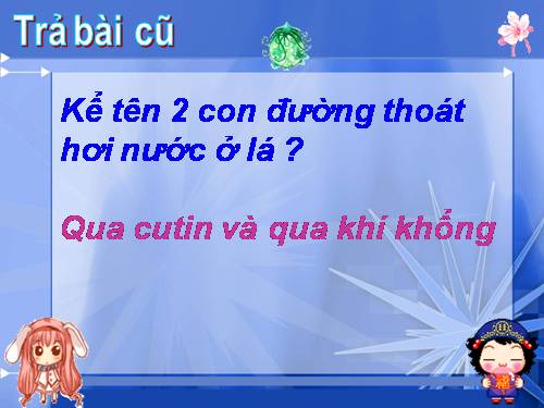 Bài 4. Vai trò của các nguyên tố khoáng