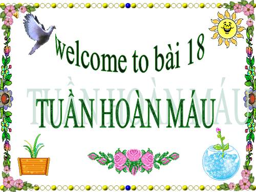 Bài 18. Tuần hoàn máu