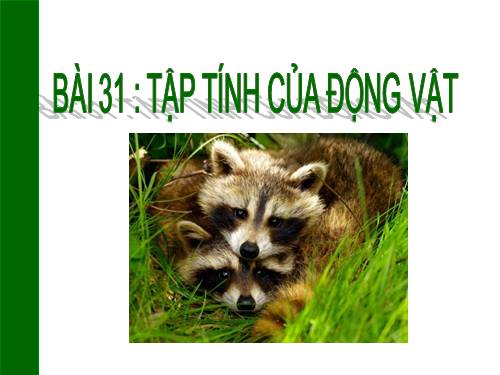 Bài 31. Tập tính của động vật