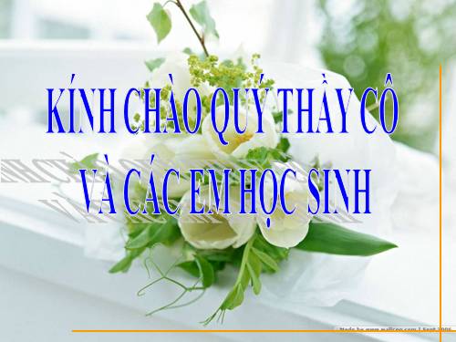 Bài 34. Sinh trưởng ở thực vật