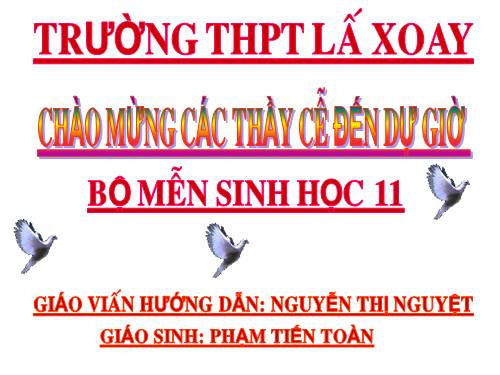 Bài 23. Hướng động