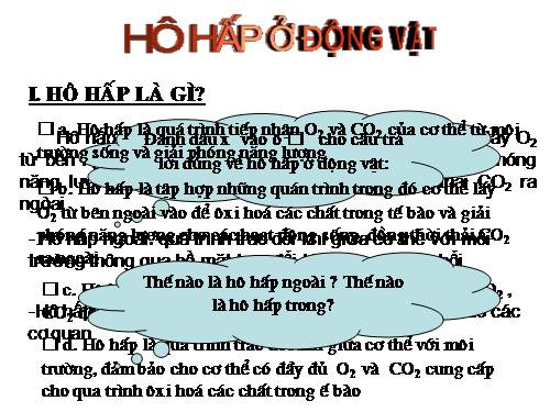 Bài 17. Hô hấp ở động vật