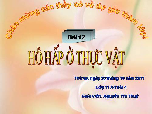 Bài 12. Hô hấp ở thực vật