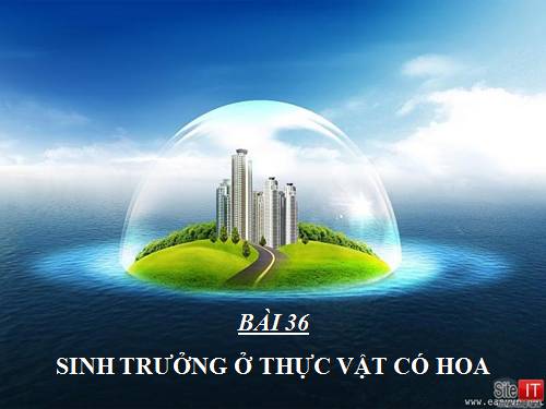 Bài 36. Phát triển ở thực vật có hoa