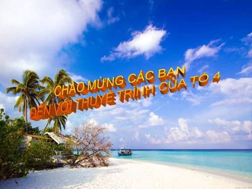 Bài 26. Cảm ứng ở động vật