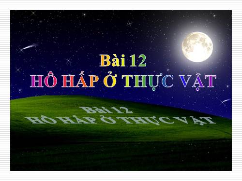 Bài 12. Hô hấp ở thực vật