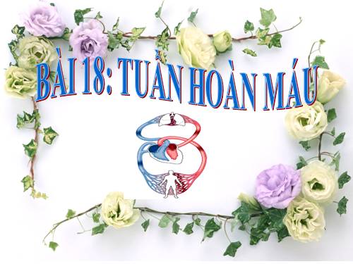 Bài 18. Tuần hoàn máu