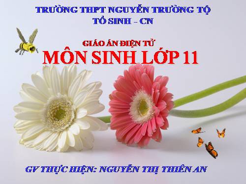 Bài 8. Quang hợp ở thực vật