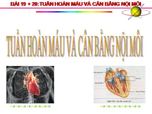 Bài 20. Cân bằng nội môi