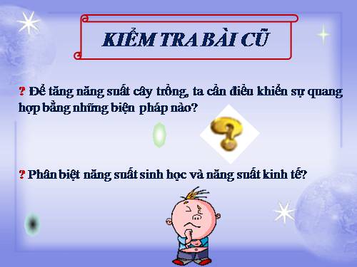 Bài 12. Hô hấp ở thực vật