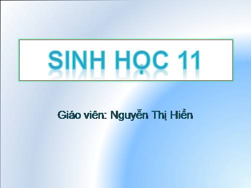 Bài 12. Hô hấp ở thực vật