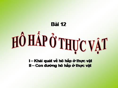 Bài 12. Hô hấp ở thực vật