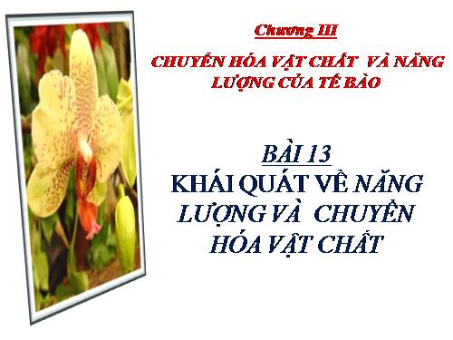 Bài 13. Thực hành: Phát hiện diệp lục và carôtenôit