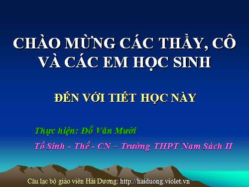 Bài 12. Hô hấp ở thực vật