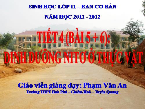 Bài 5. Dinh dưỡng nitơ ở thực vật