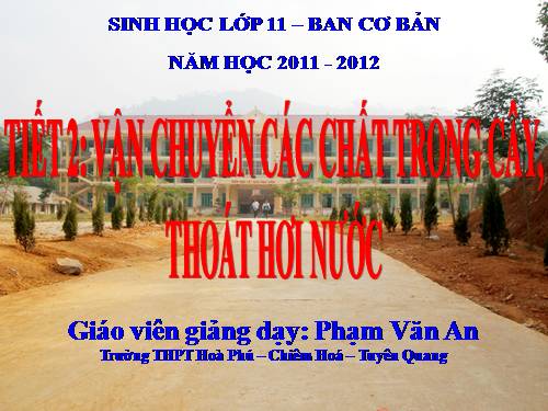 Bài 2. Vận chuyển các chất trong cây