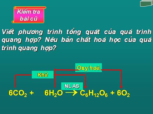 Bài 12. Hô hấp ở thực vật