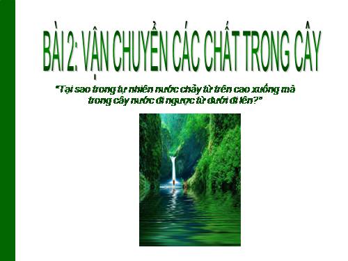 Bài 2. Vận chuyển các chất trong cây