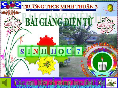 Bài 33. Thực hành: Xem phim về tập tính của động vật