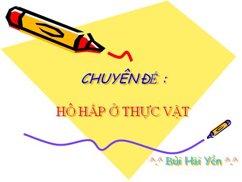 Bài 12. Hô hấp ở thực vật