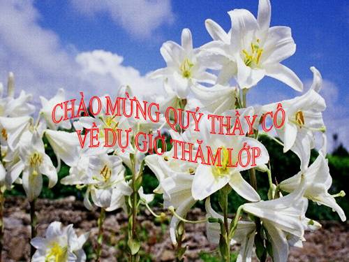 Bài 45. Sinh sản hữu tính ở động vật