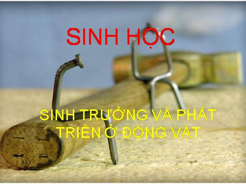 Bài 40. Thực hành: Xem phim về sinh trưởng và phát triển ở động vật