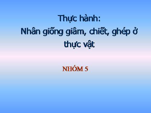 Bài 43. Thực hành: Nhân giống vô tính ở thực vật bằng giấm, chiết, ghép